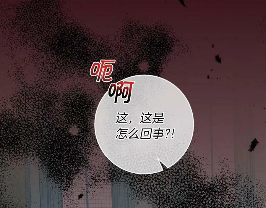 第116话 捕鼠行动1