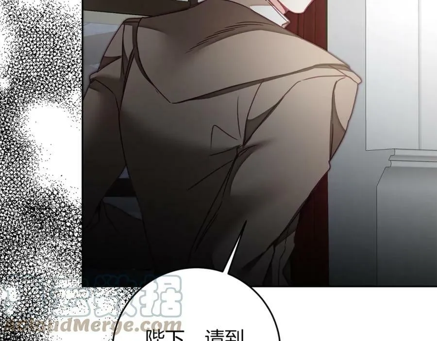 第116话 捕鼠行动44