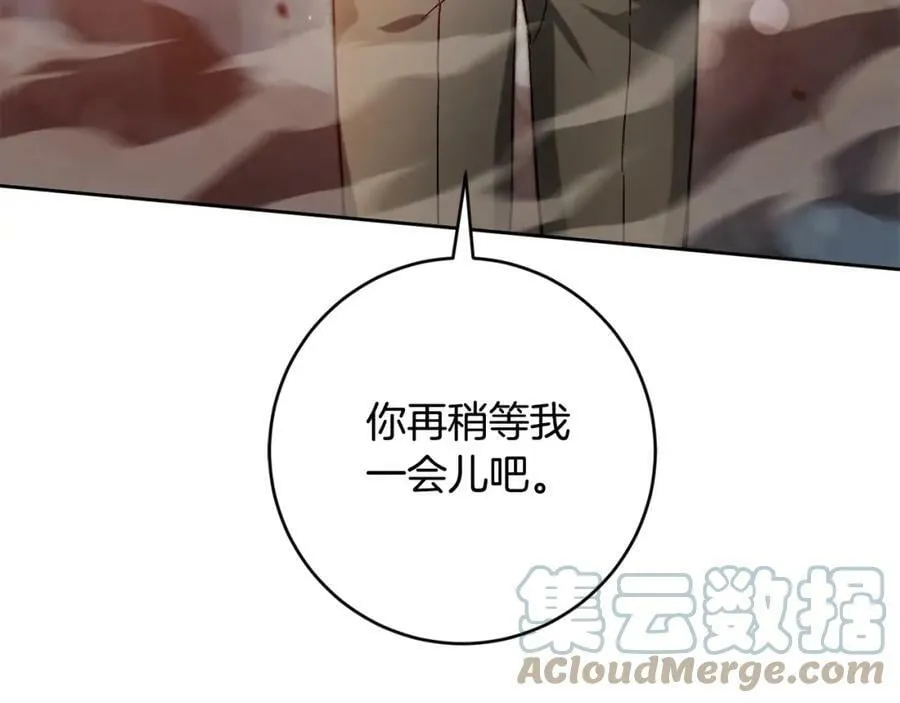 第137话 杀手锏32