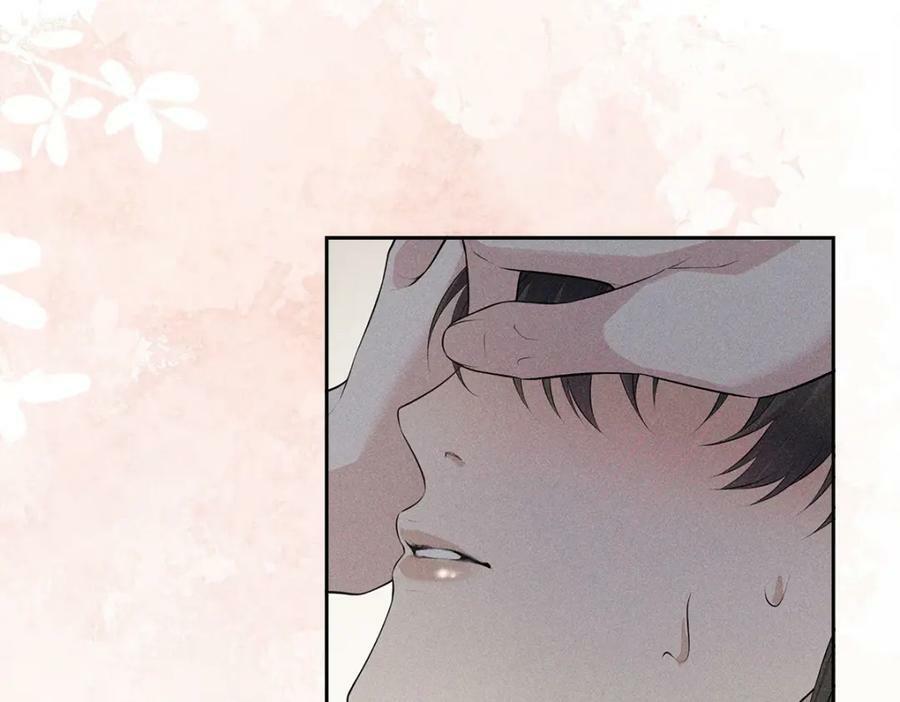 036弑爱95
