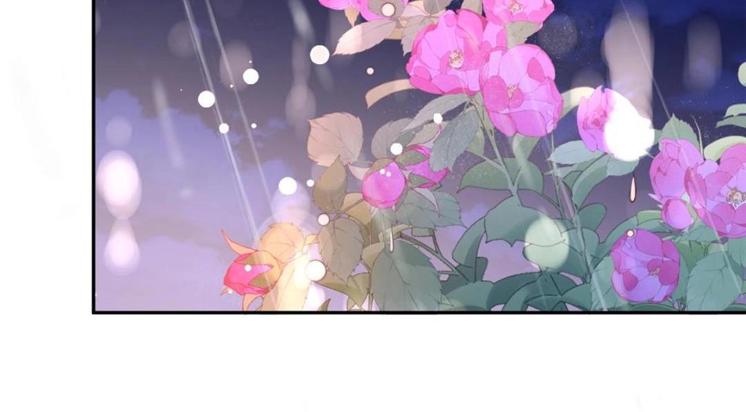 62  回家41