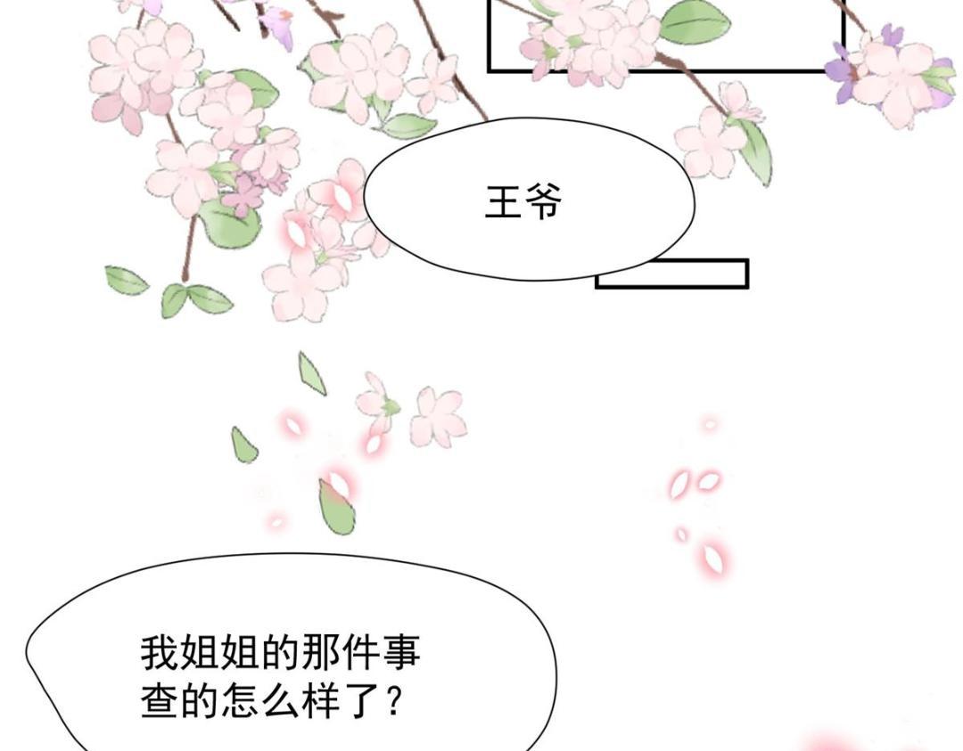 43 后宫争斗30