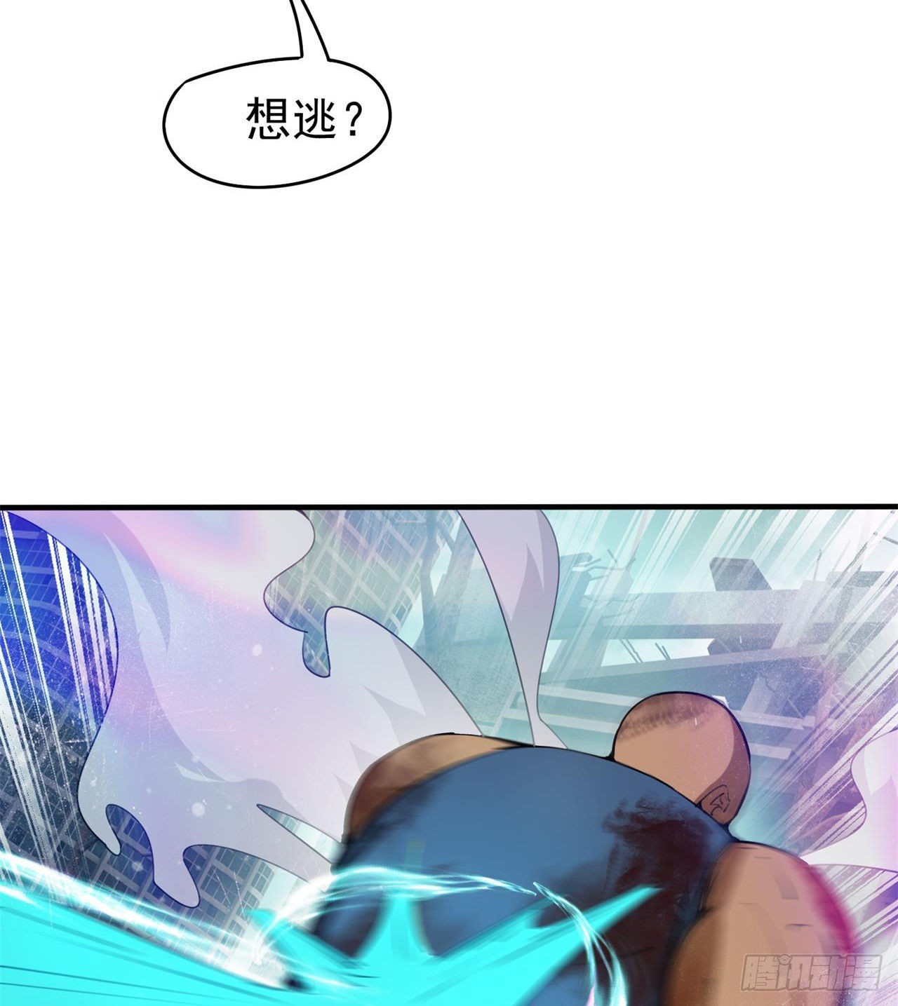 猫有九条命31