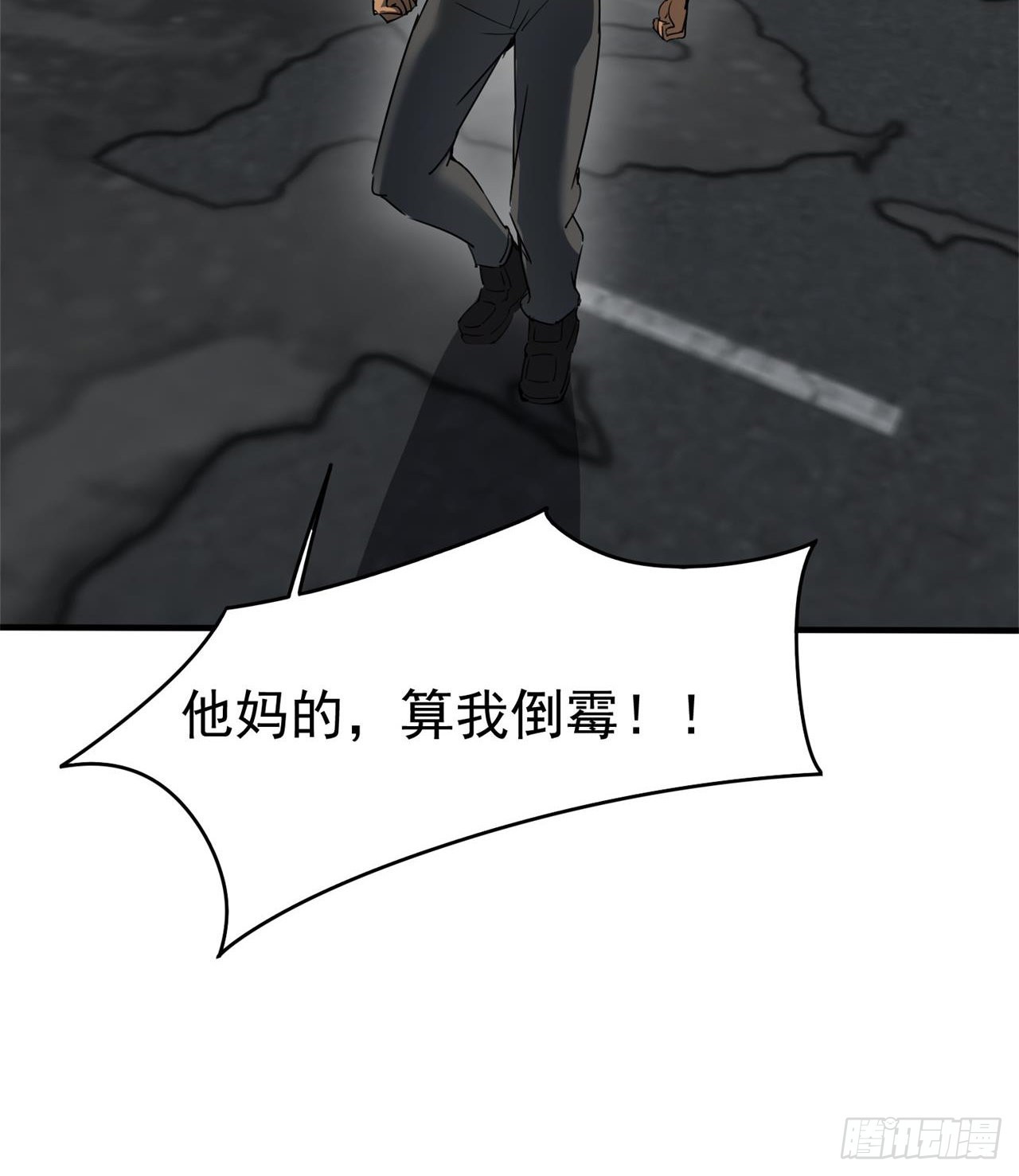 猫有九条命29