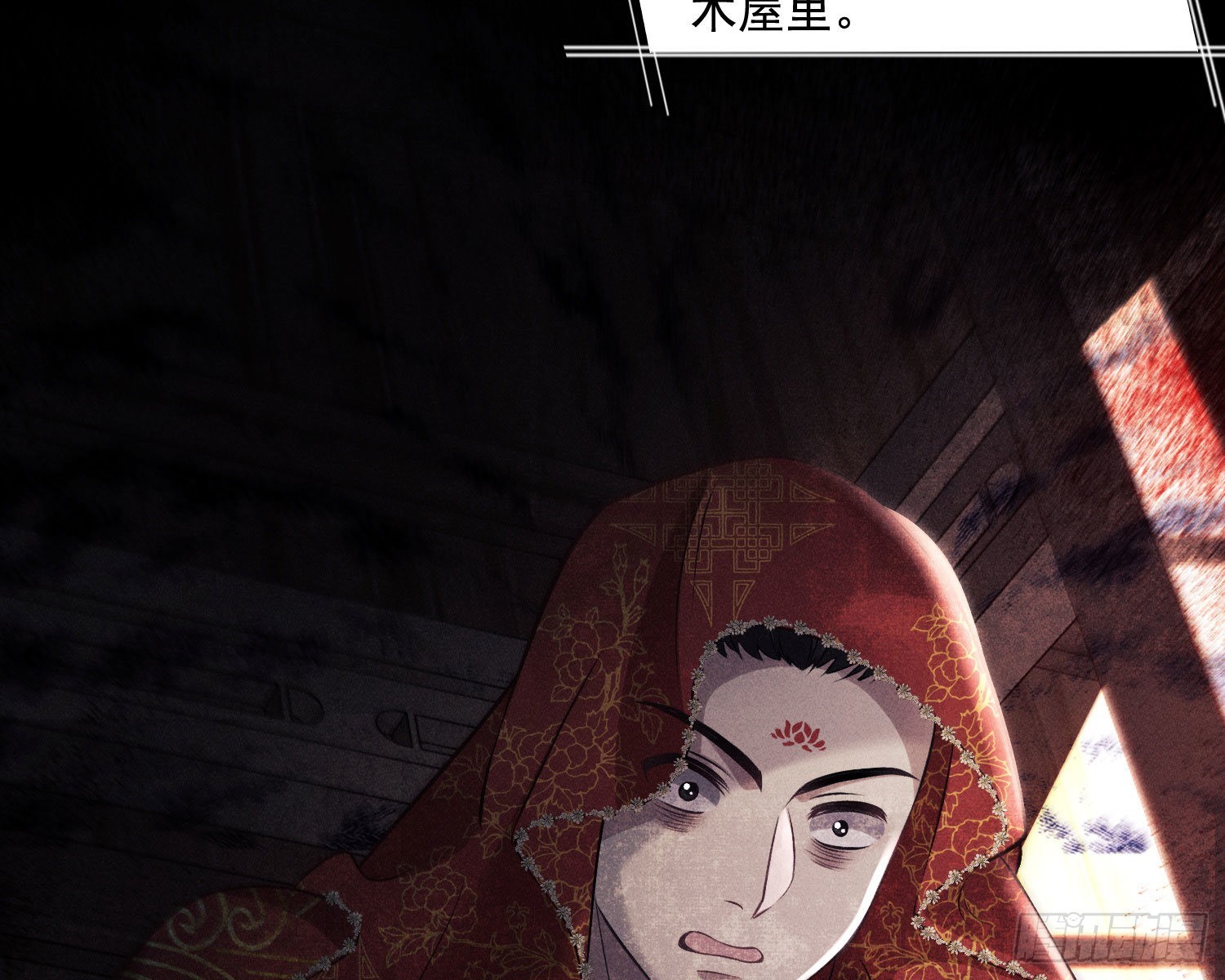 循环5
