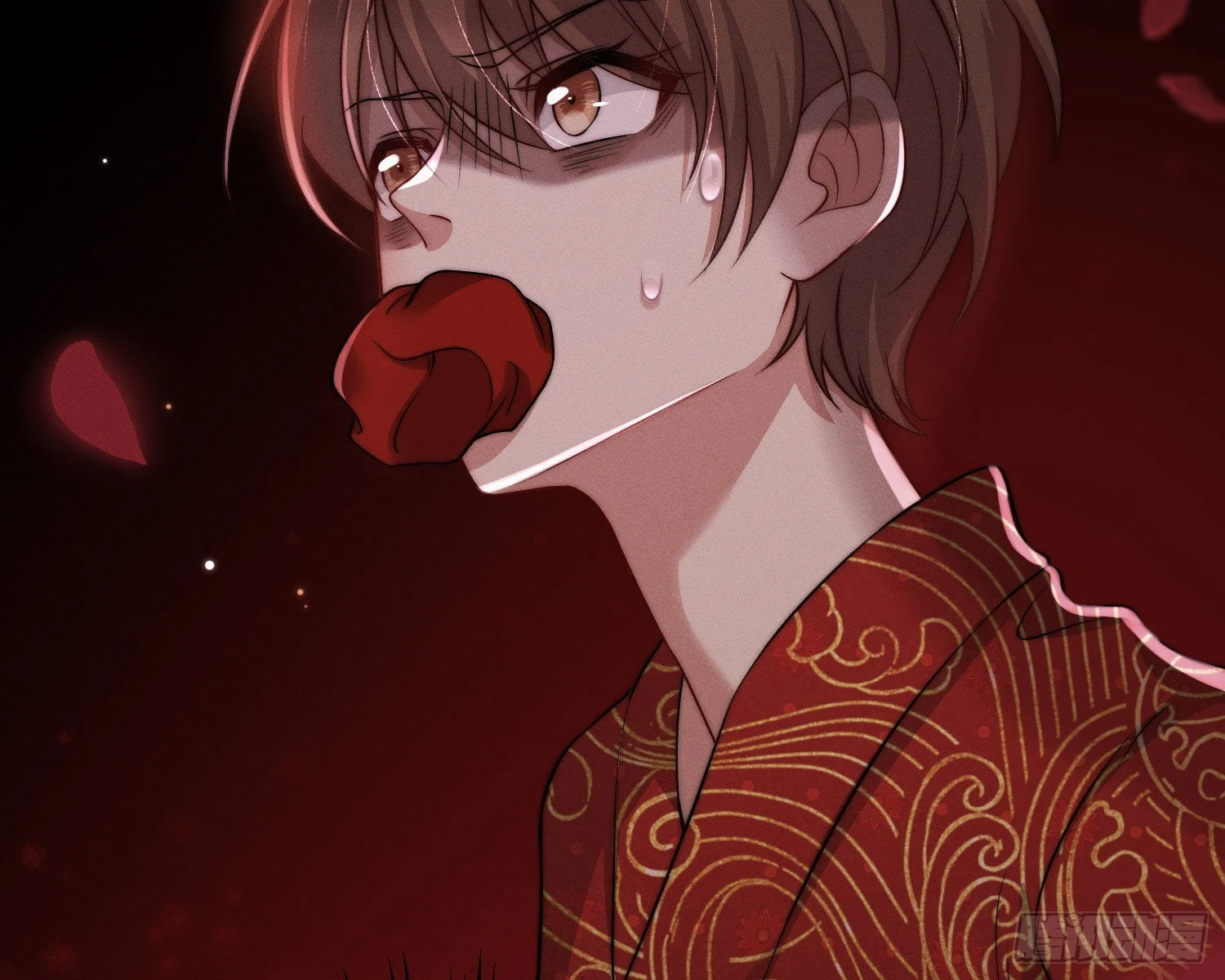 抢亲66