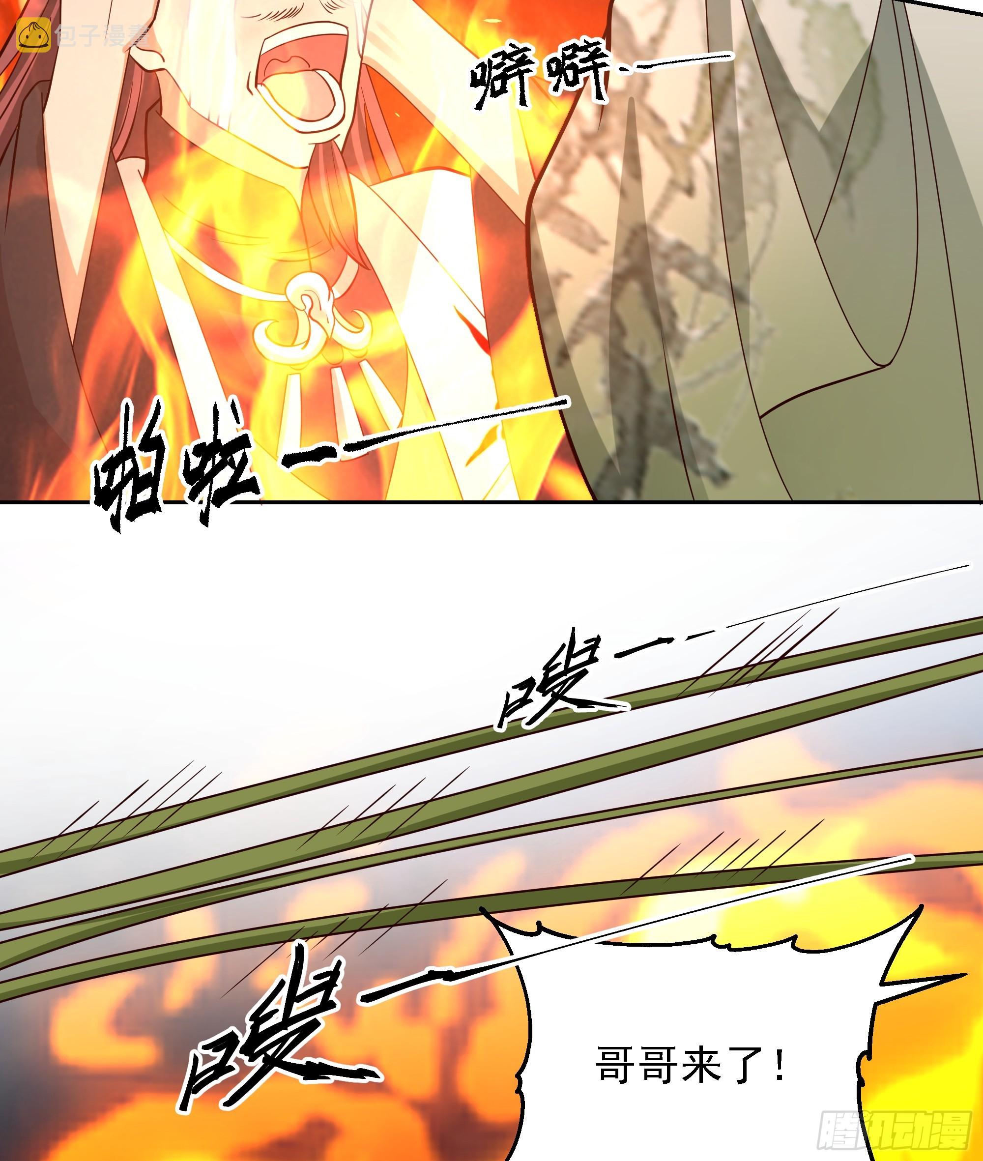 桑柳连理枝11