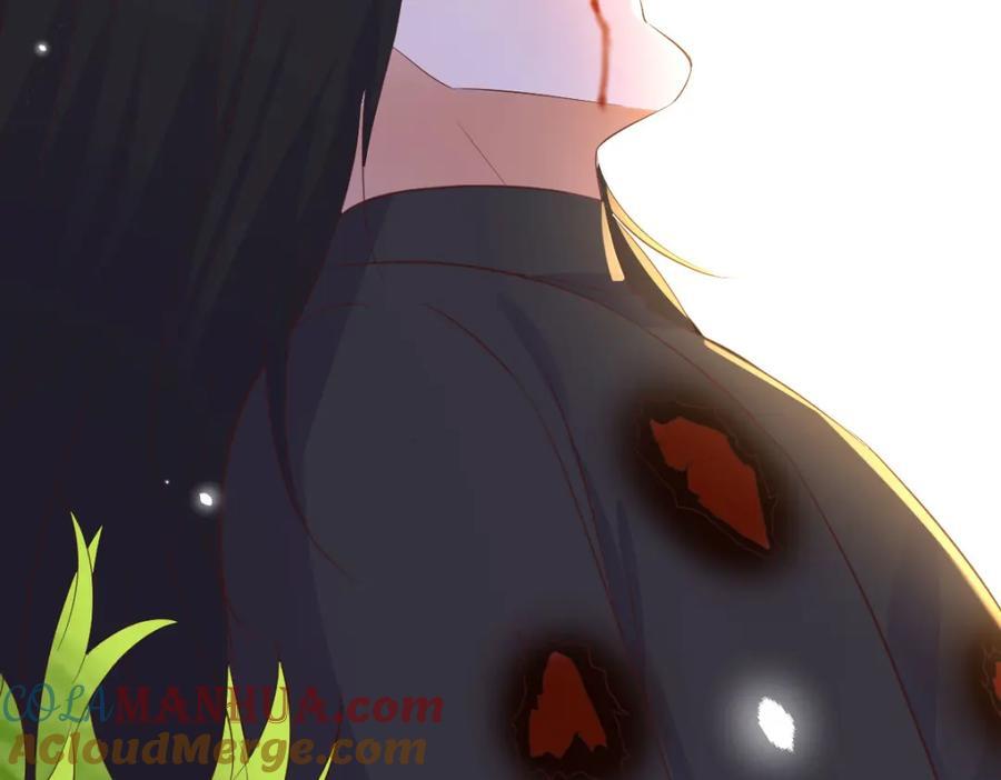 圣尊自有安排100