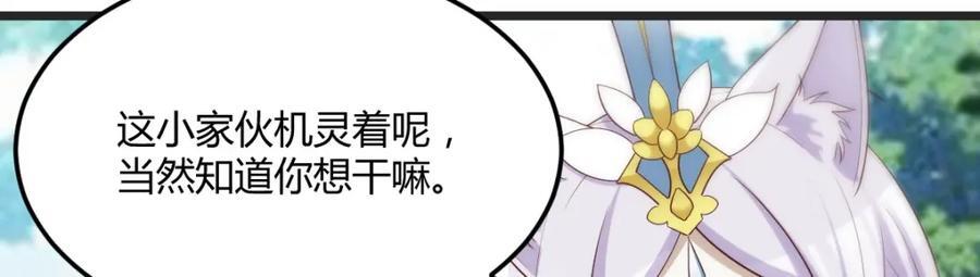 最好的安排37