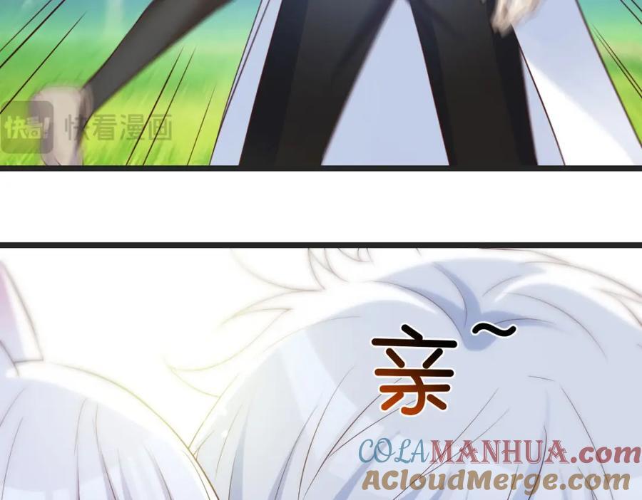 最好的安排44