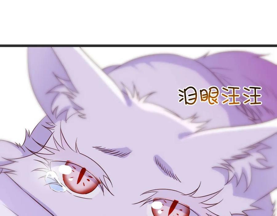 寻找萱萱66