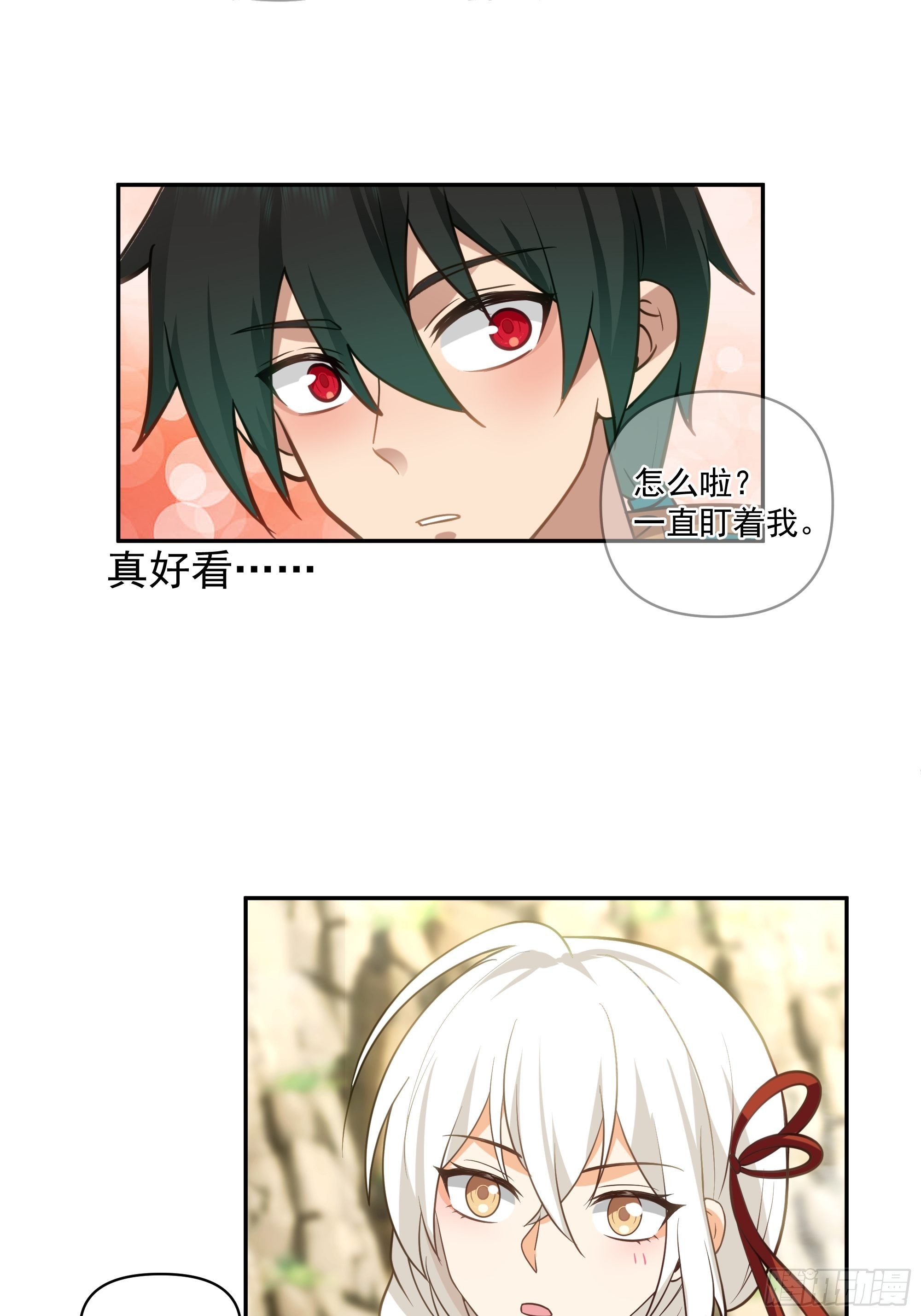 白雀无声29