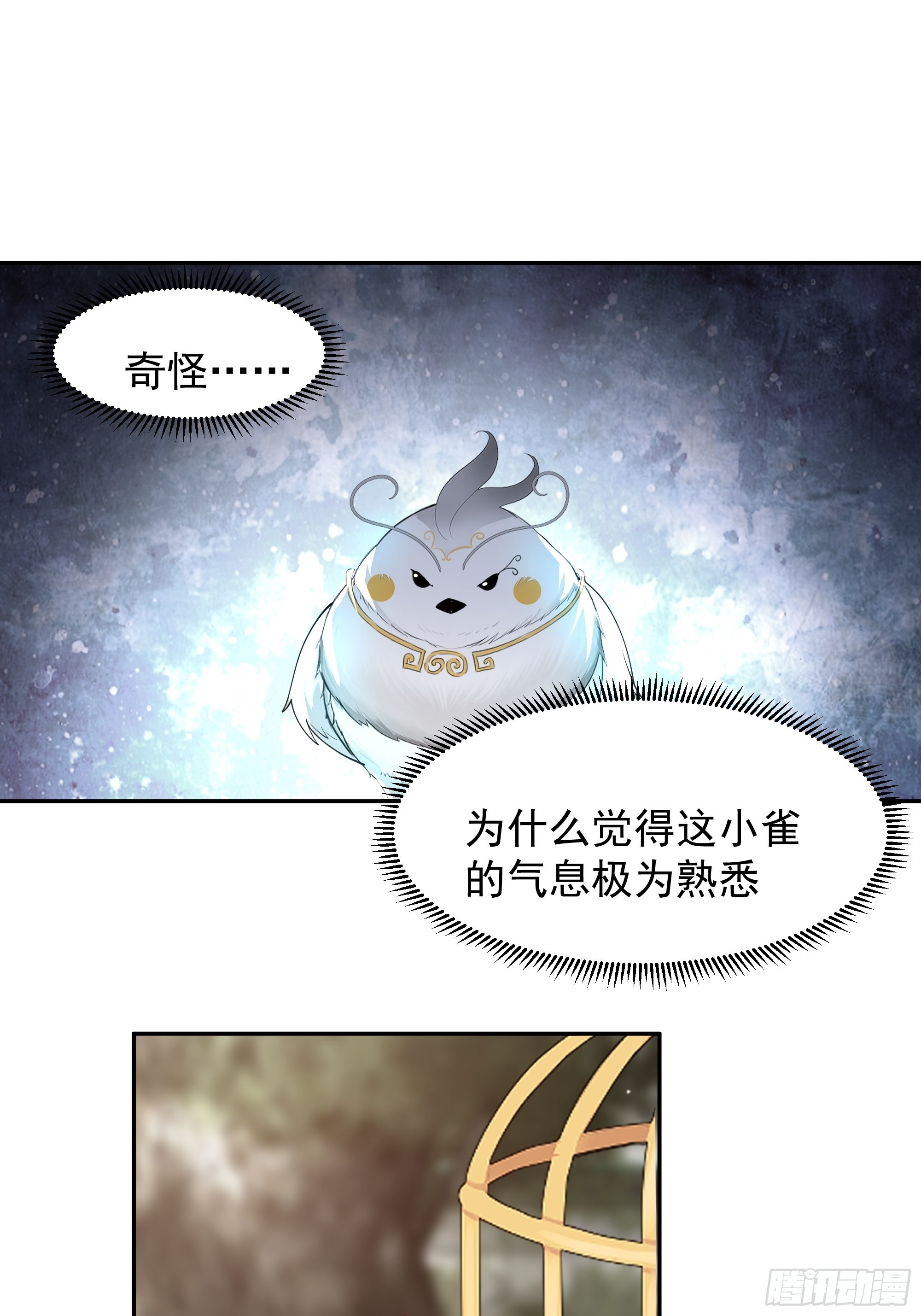 白雀无声45