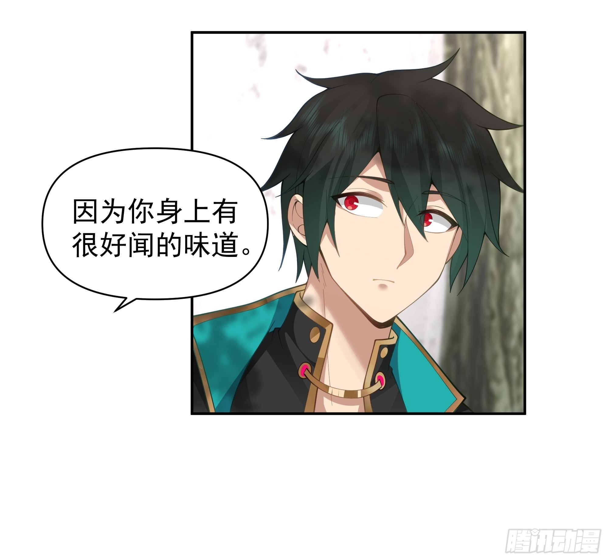 白雀无声8