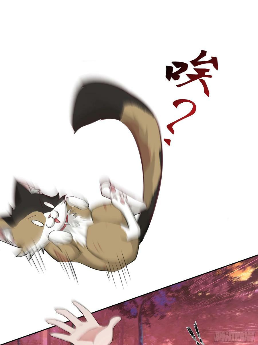 乱战17