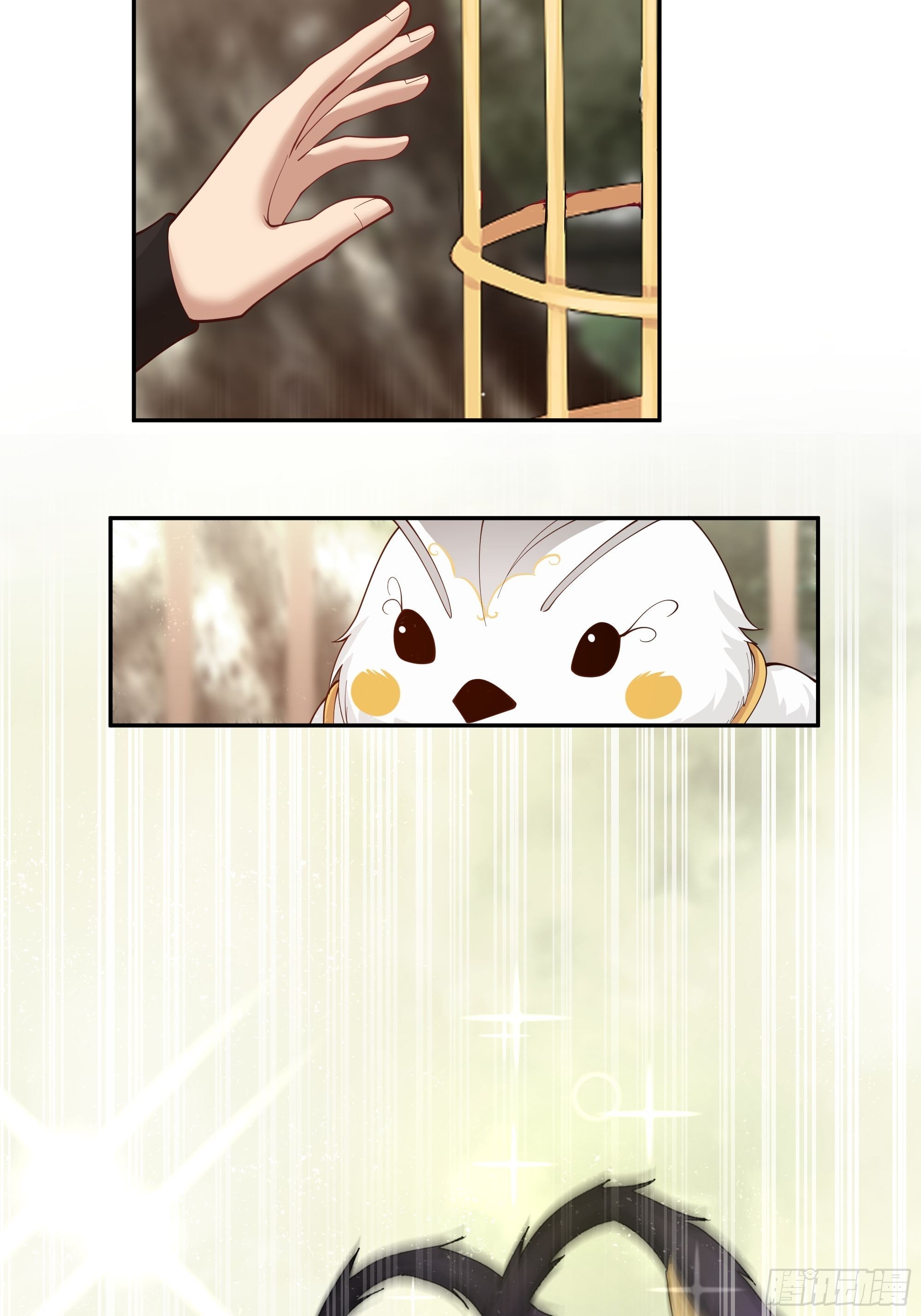 白雀无声46