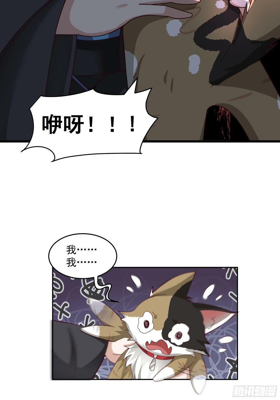 乱战11