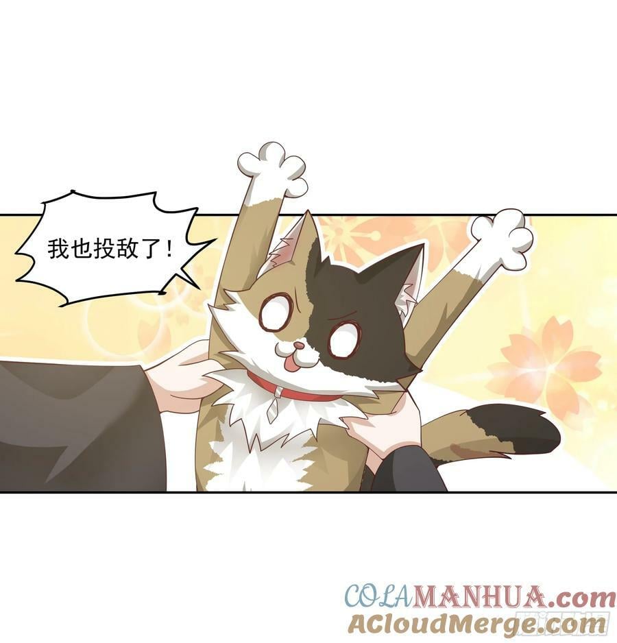 乱战12