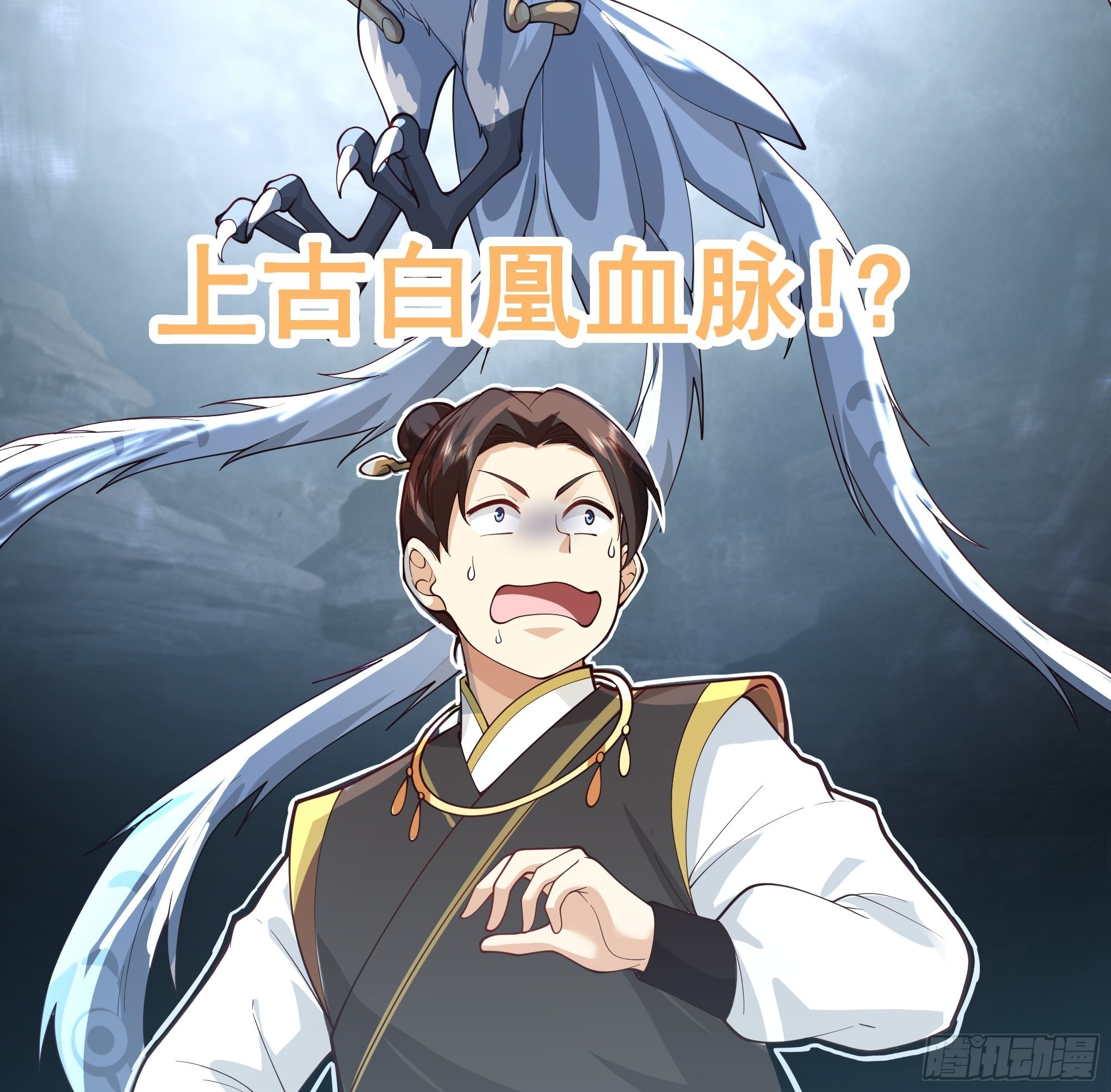 白雀无声42