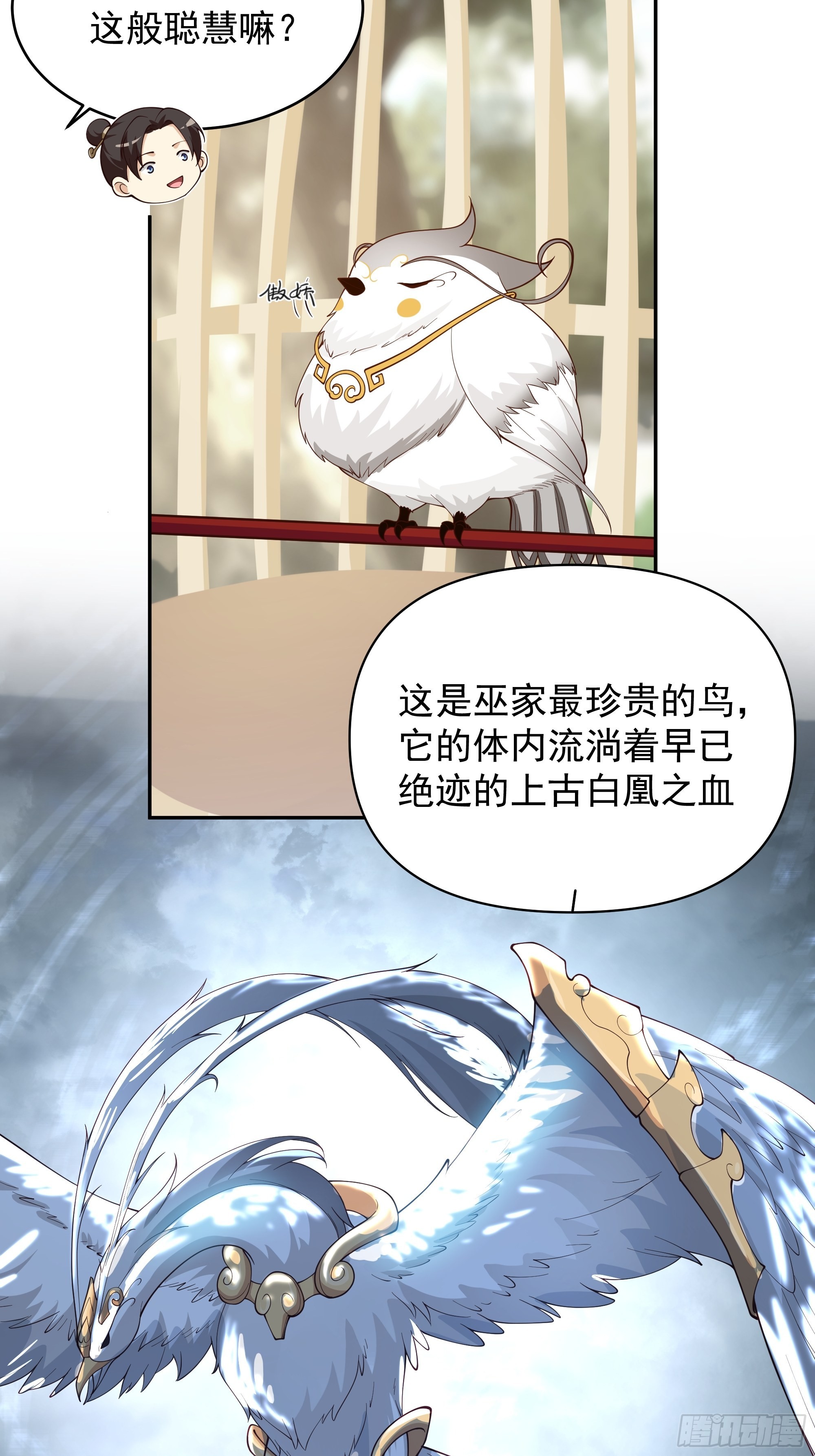 白雀无声41