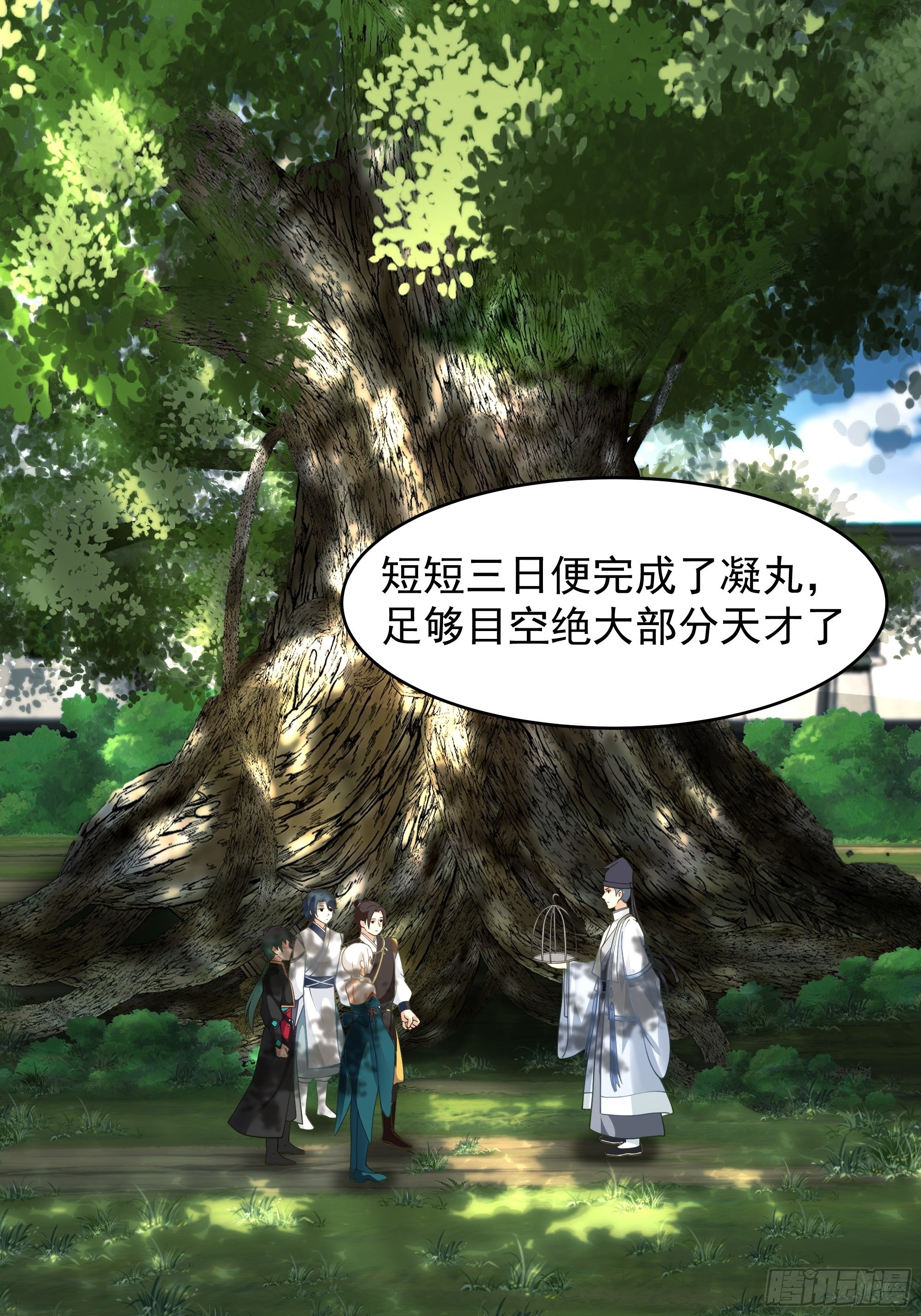 白雀无声38