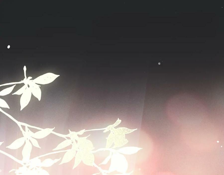 第一季完结篇34