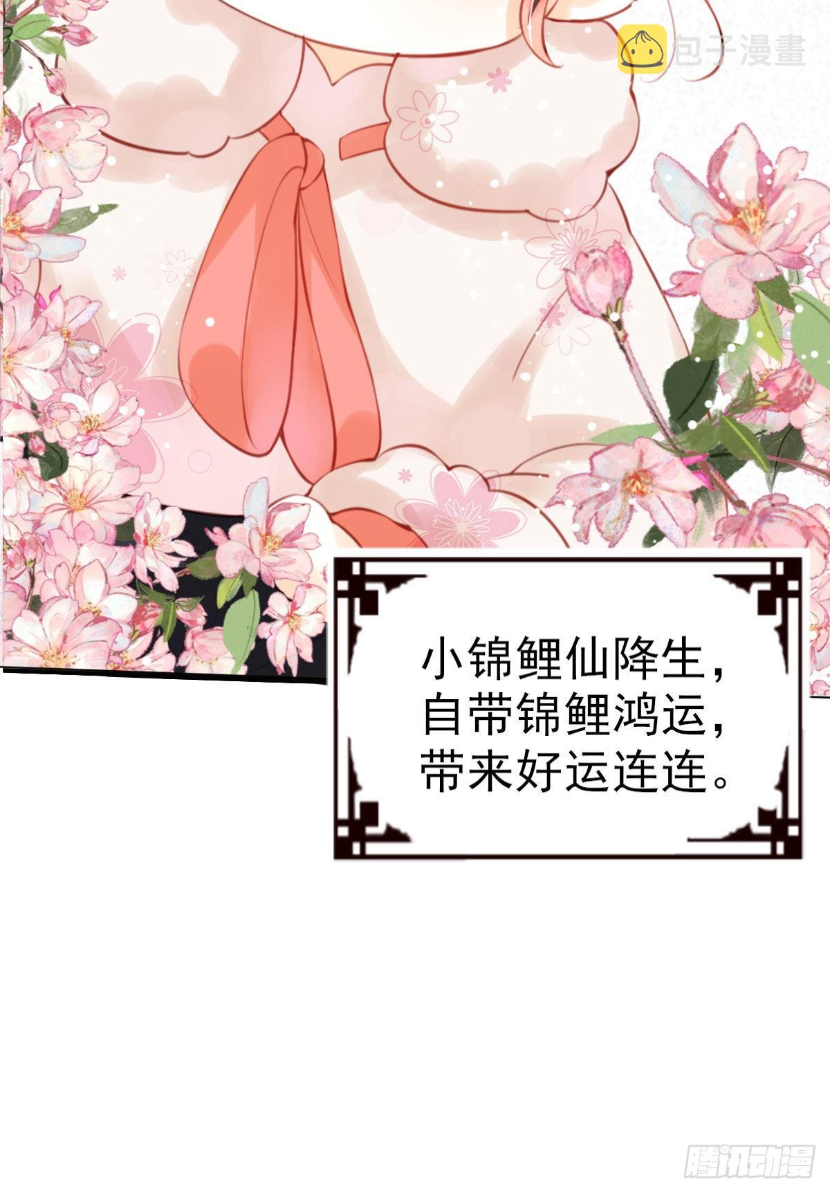 序章 天降萌萌小锦鲤！11