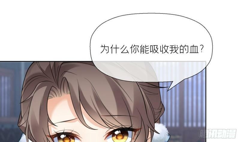 第12话 温柔的溪客尊主3