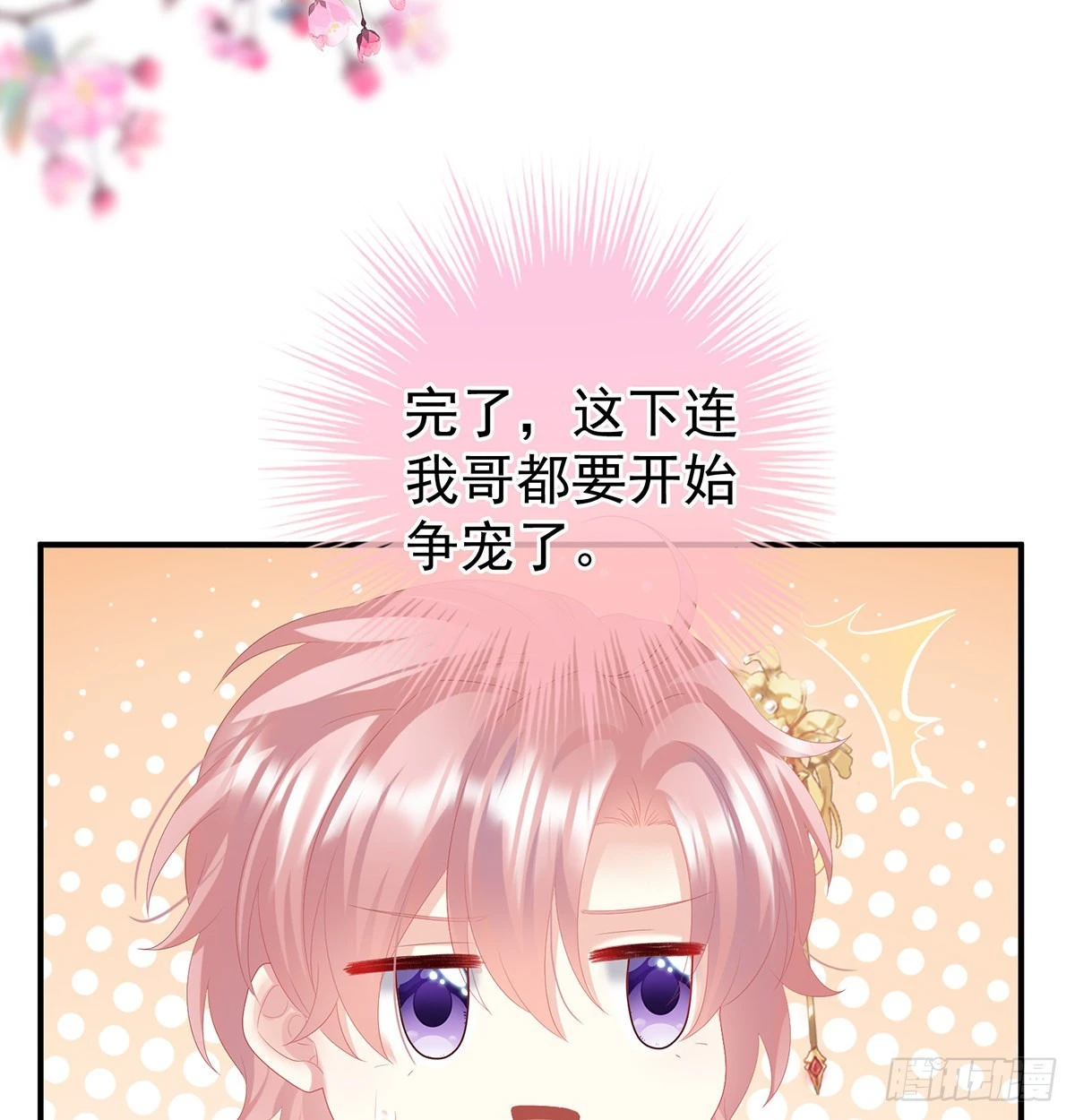 争奇斗艳13