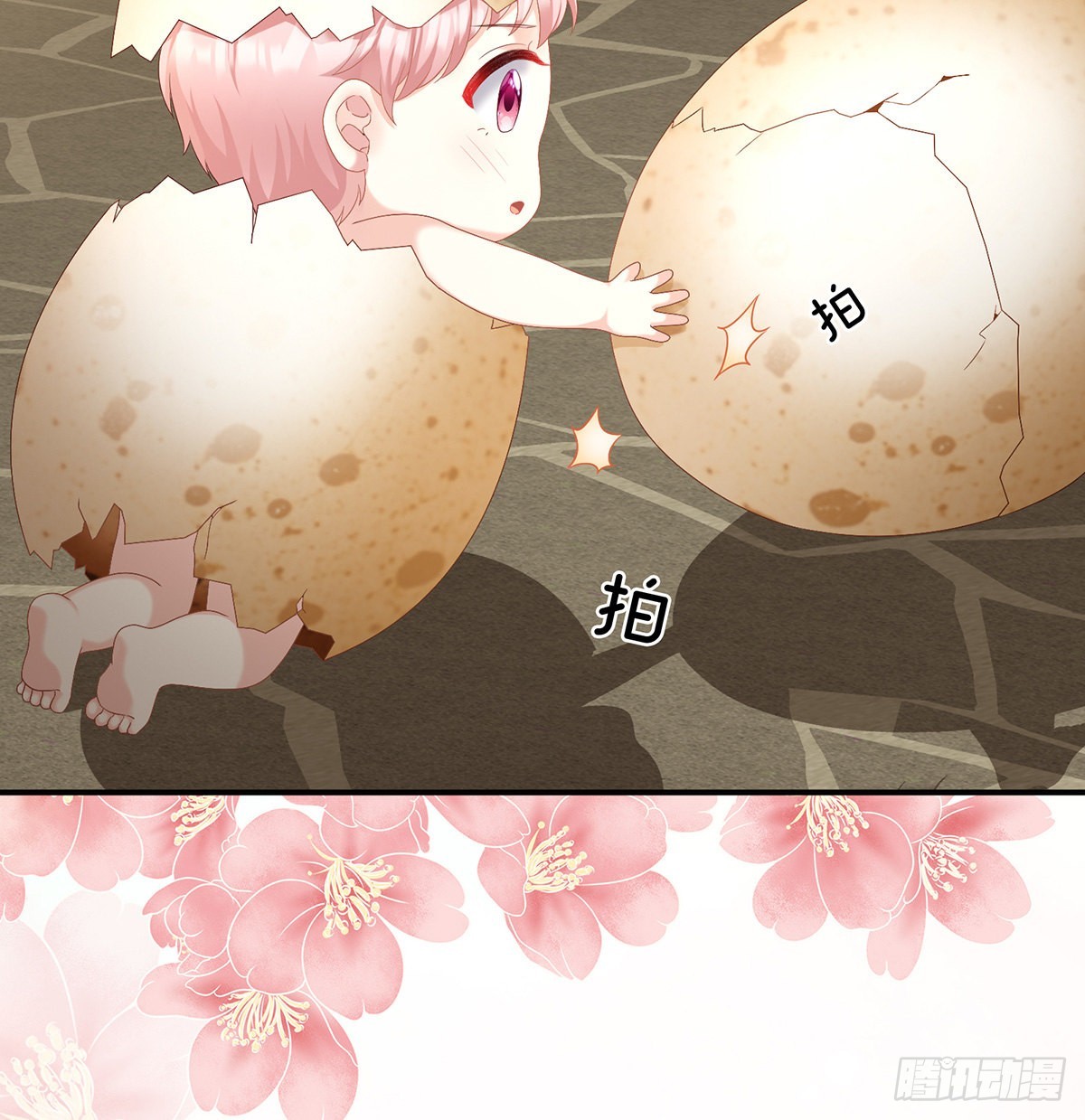 孩子孵出来了！31