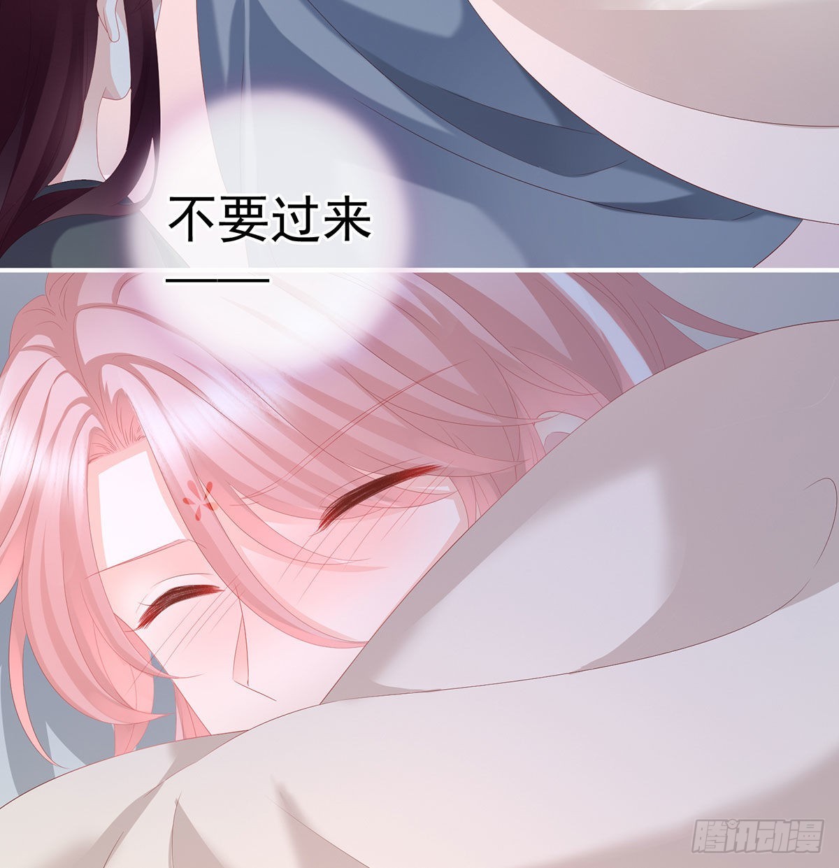 花期51