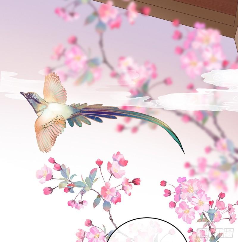 春风罗绮，相携入戏68