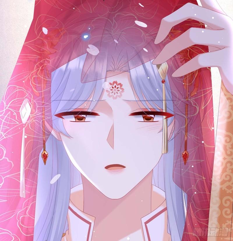 成亲68