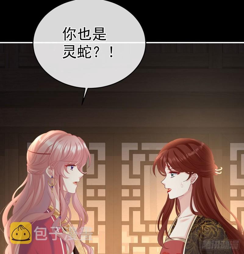 生很多蛇宝宝34