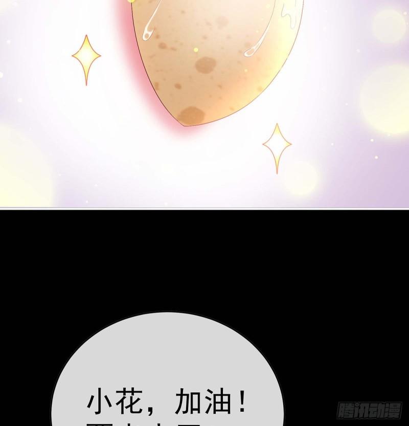 小花又生了！62