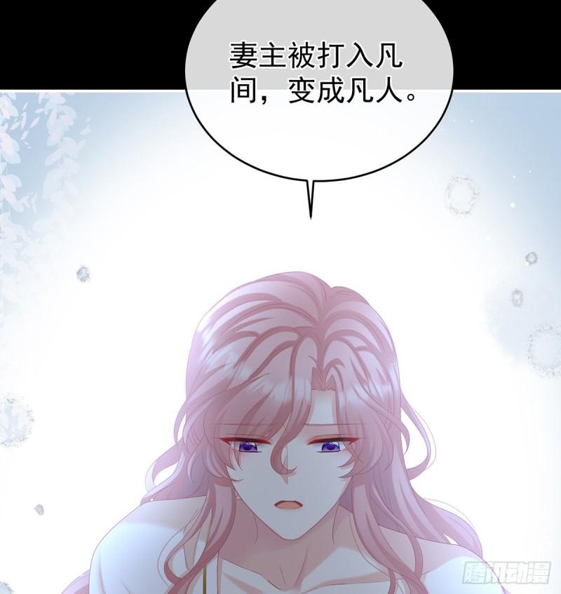 你是我的妻主！23