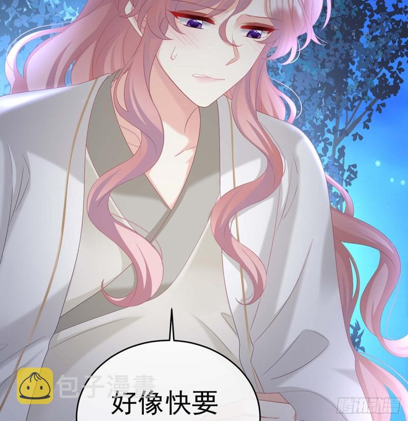 小花又生了！33