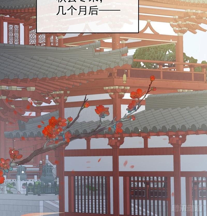 顽强的小生命65