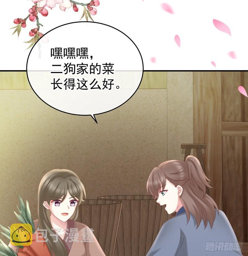 番外：诺诺的后宫3