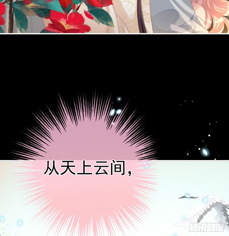 一夜留情49