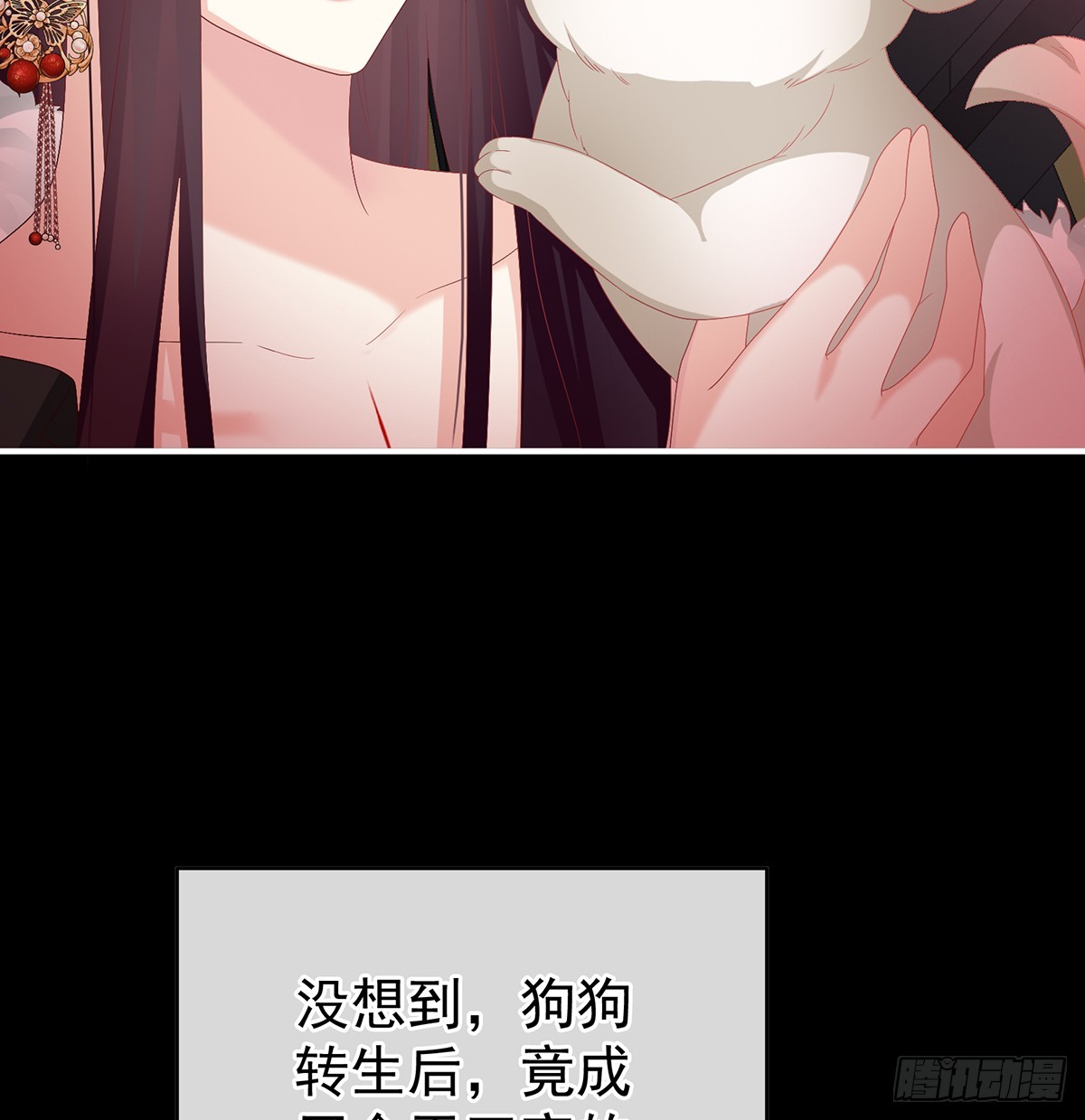 你就是那只狗！35