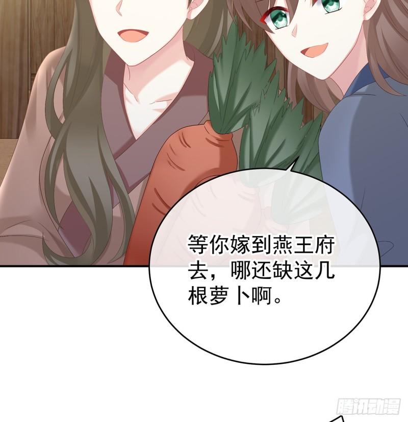 番外：诺诺的后宫8