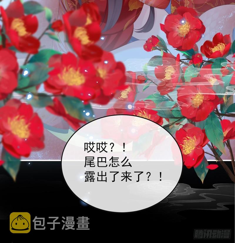 天地为席，云雨共赴70