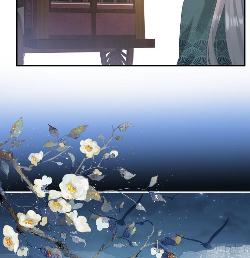 生很多蛇宝宝14