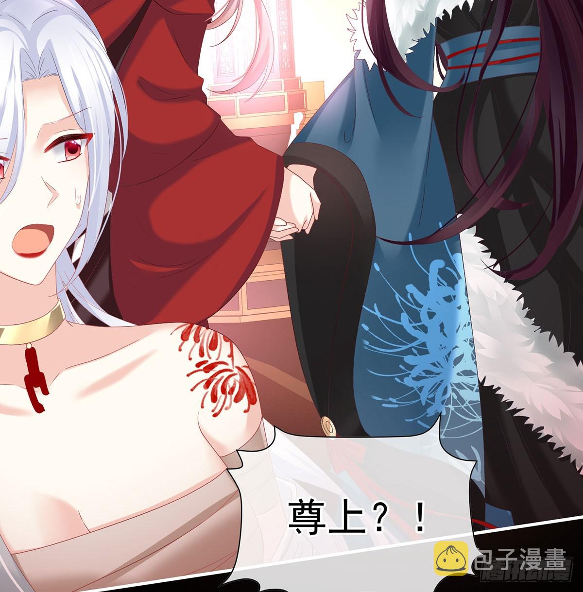 投入轮回井29