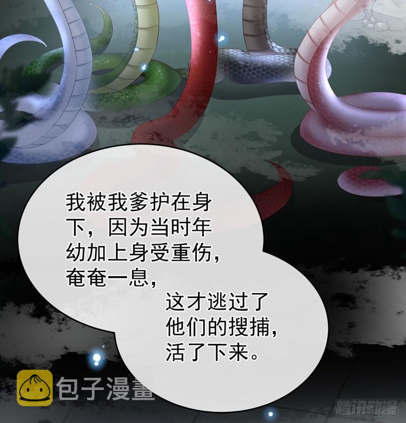 生很多蛇宝宝43