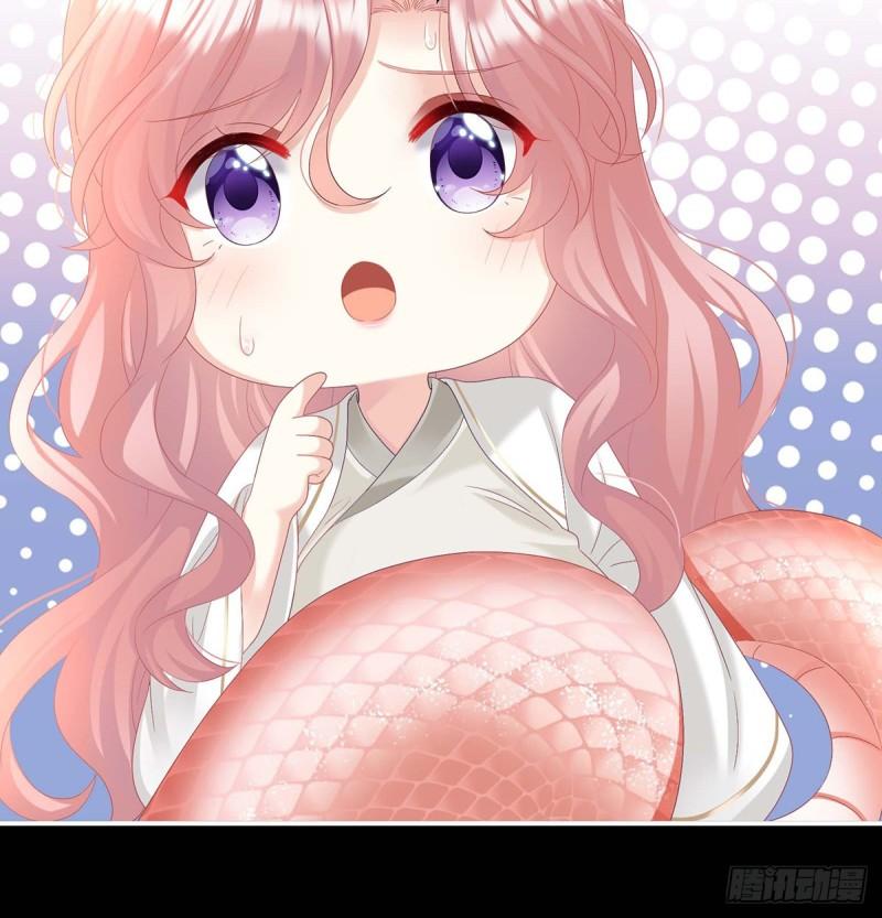 小花又生了！67
