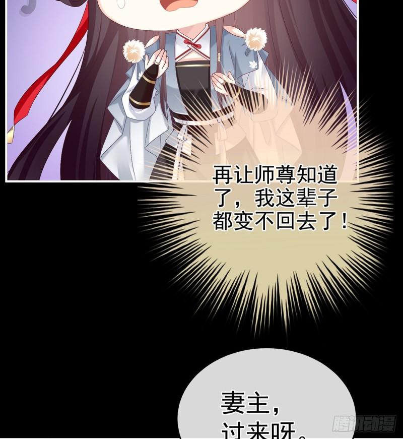 你是我的妻主！56