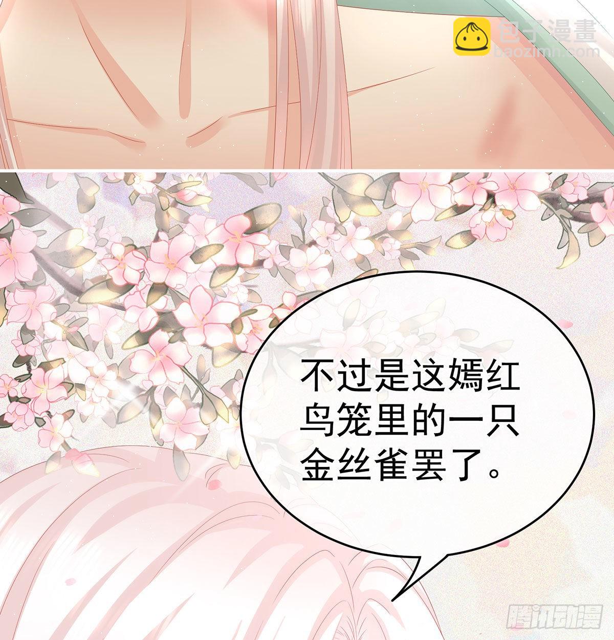 笼中鸟63