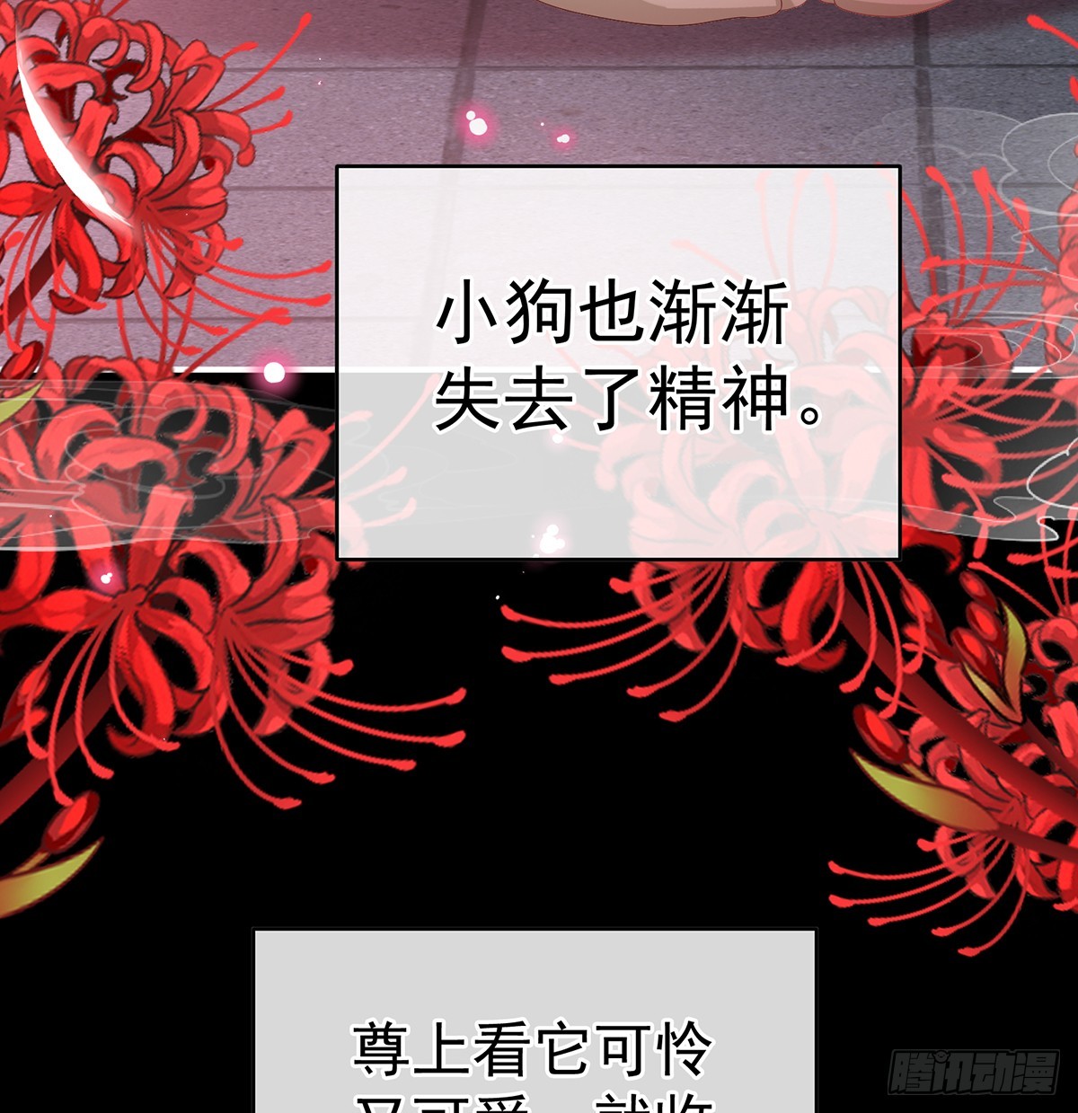 你就是那只狗！29